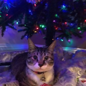 Meet your Posher, April